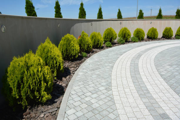 Best Residential Driveway Paver Services  in Middleburg, FL